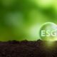 Making money and saving the human race: ESG investing comes of age